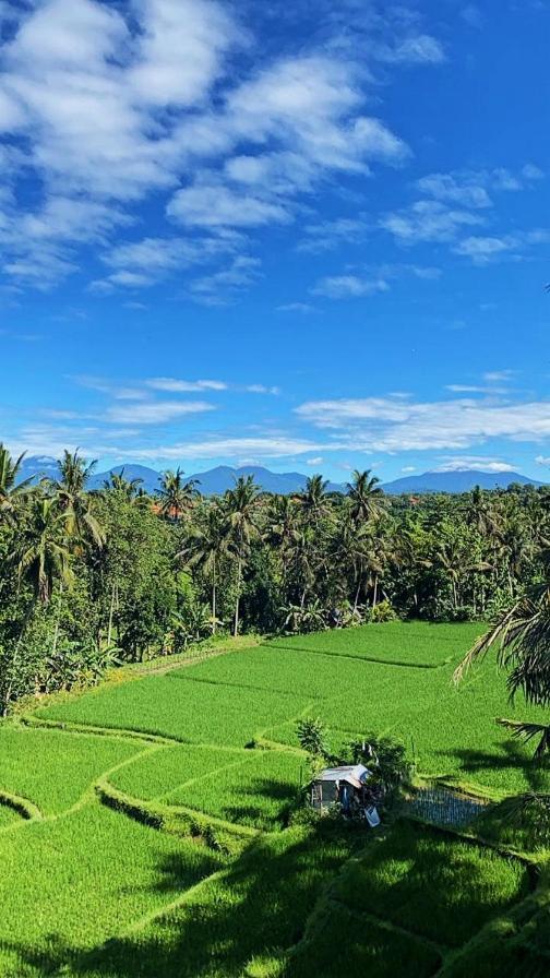 Nirwa Karma 2* Ubud