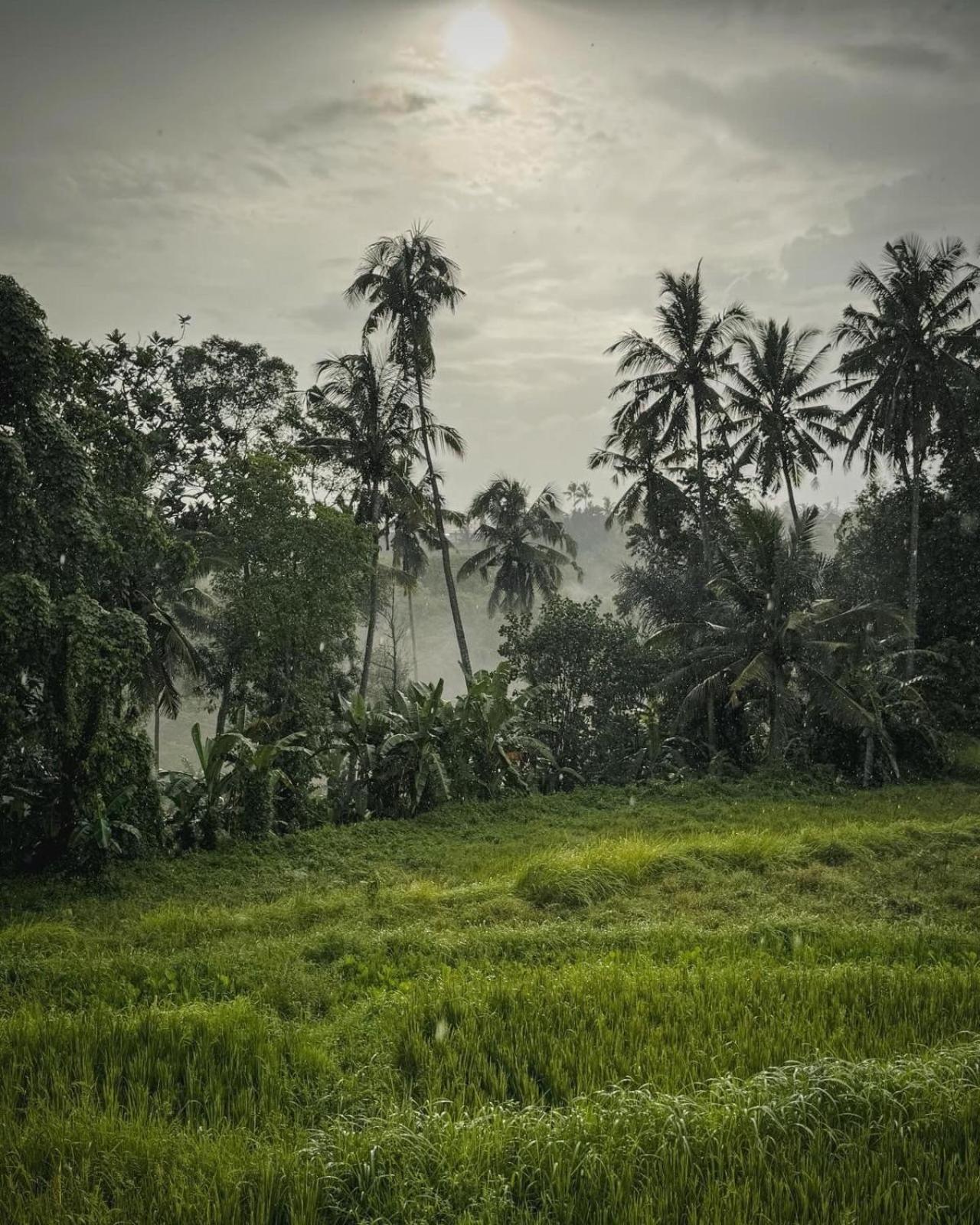 Nirwa Karma Ubud
